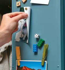 Adhesive-Backed Rare-Earth Magnets