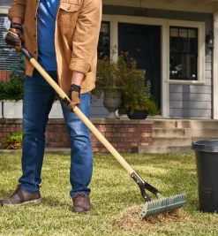 Adjustable Thatch Rake