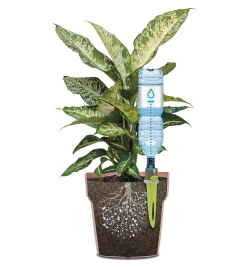 Adjustable-Flow Drip Spike