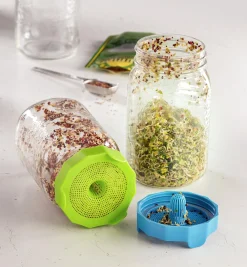 Bean Screen Sprouting Lids