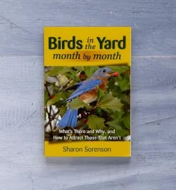 Birds In The Yard Month By Month