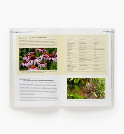 Birds In The Yard Month By Month