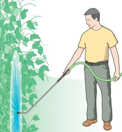 Bug Blaster & Water Wand