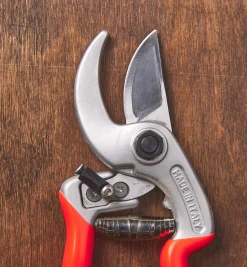Castellari Curved-Anvil Pruner