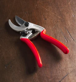 Castellari Curved-Anvil Pruner