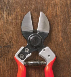 Castellari Double-Bladed Pruner