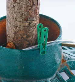 Christmas Tree Water Fountain