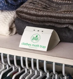 Clothes Moth Traps