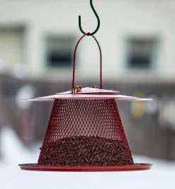 Collapsible Bird Feeder