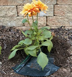 Crop Circles Weed-Barrier Mats