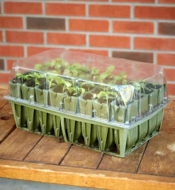 Deep Rootrainers Set