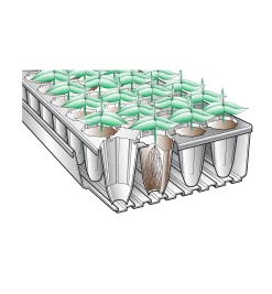 Deep-Root Seed Starters