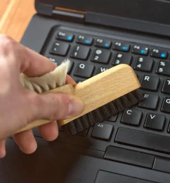 Detail Dusting Brush