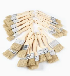 Disposable Natural-Bristle Brushes