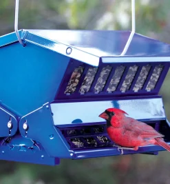 Double-Sided Large Squirrel-Resistant Feeder