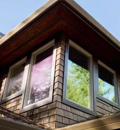 Feather Friendly Window Collision Tape