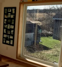 Feather Friendly Window Collision Tape