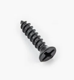 Finished Steel Screws