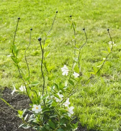 Flexible Garden Stake