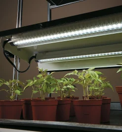Full-Spectrum LED Grow Lights