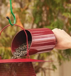 Funneling Bird Seed Scoop