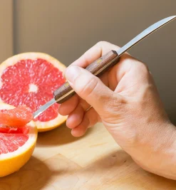 Grapefruit Knife