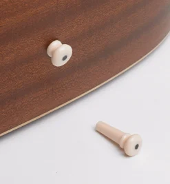Guitar Bridge & End Pins