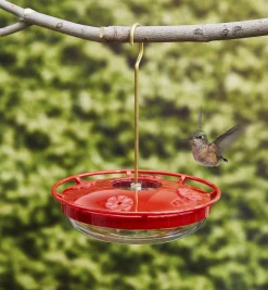 Hanging Hummingbird Feeder