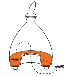 Hanging Wasp Trap