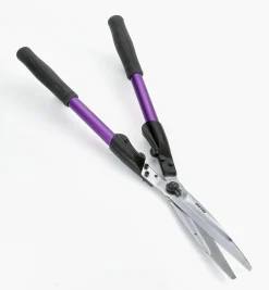Hedge Shears