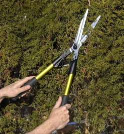 Hedge Shears