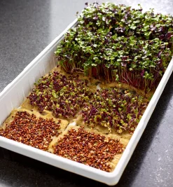 Hemp-Fiber Grow Mats