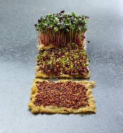 Hemp-Fiber Grow Mats