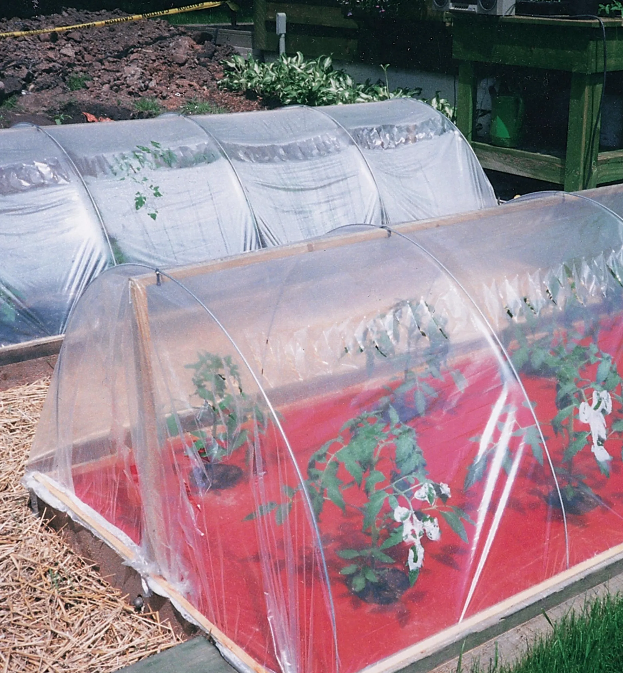 Hoops For Shade Or Row Covers