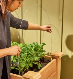 Insect Protection Fabric & Pack Of 10 Hoops