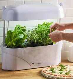 LED Grow Light & Planter