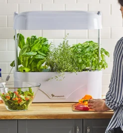 LED Grow Light & Planter