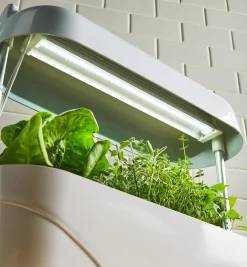 LED Grow Light & Planter