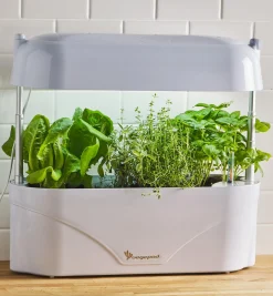 LED Grow Light & Planter