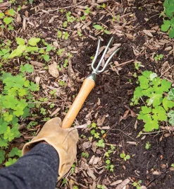 Lee Valley Mid-Length Three-Prong Cultivator