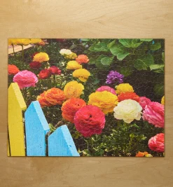 Lee Valley Puzzles (2024)