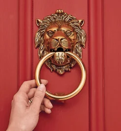 Lion's Head Knocker
