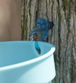 Maple Syrup Starter Kit