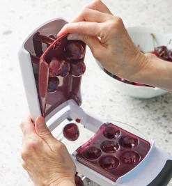 Multi-Cherry Pitter