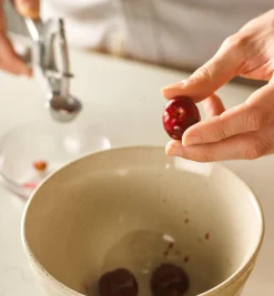 Olive & Cherry Pitter