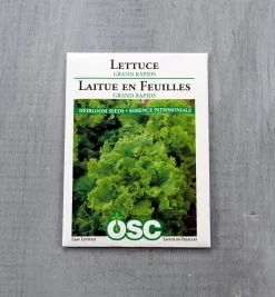 OSC Lettuce Seed Packets