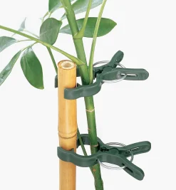 Plant Clips