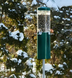 Pole-Mounted Squirrel-Proof Bird Feeder