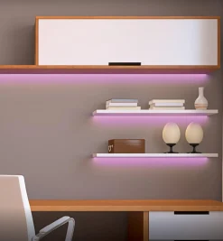 Proline Controller For RGB+W LED Tape Lights