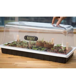 Propagation Dome & Tray